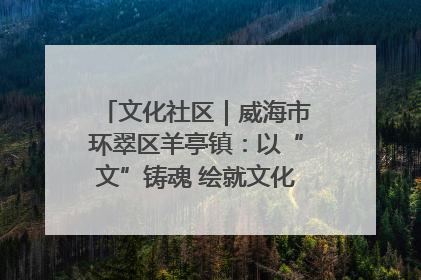 文化社区｜威海市环翠区羊亭镇：以“文”铸魂 绘就文化社区新画卷